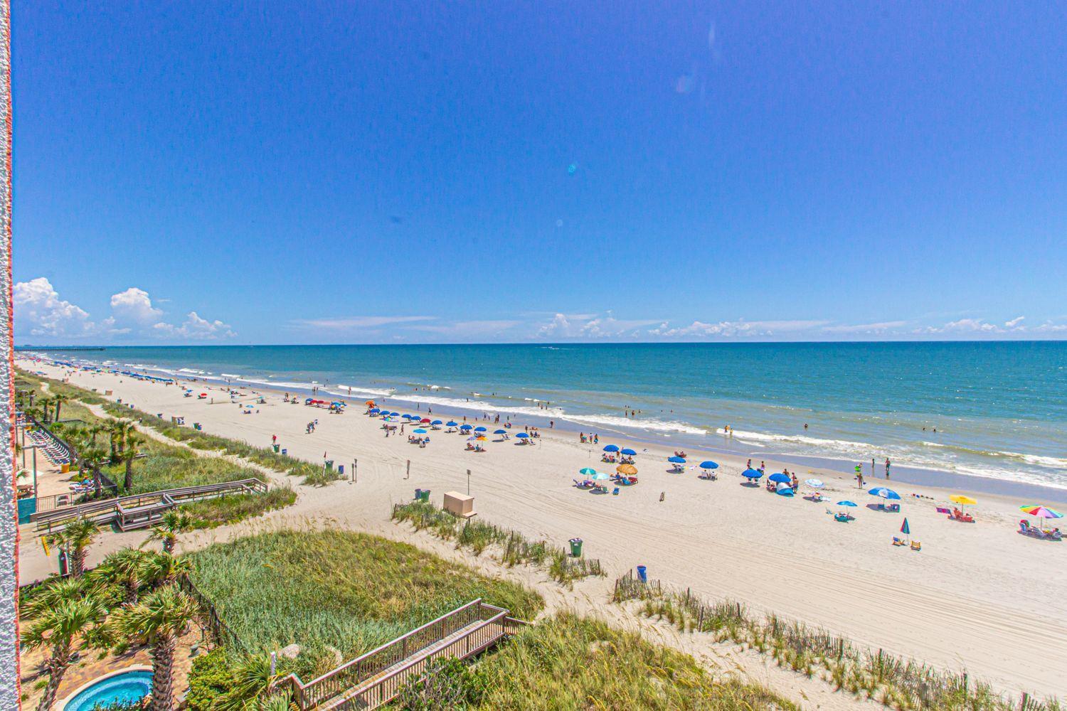 The Palace 401 Myrtle Beach Room photo